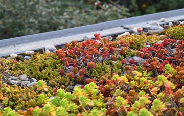 the cost of Worley green roof installation