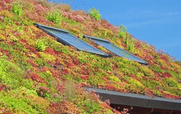 Worley living roof systems
