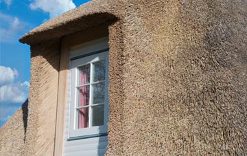 Worley thatch roof disadvantages